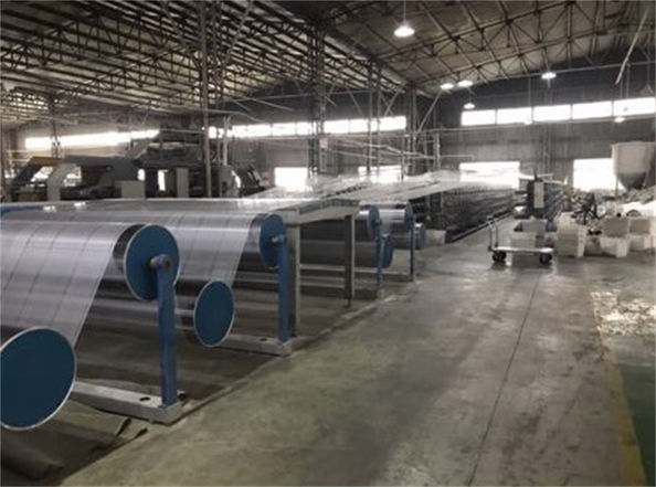 Yiyang Wanlin Weave Packing Co., Ltd. कारखाना उत्पादन लाइन