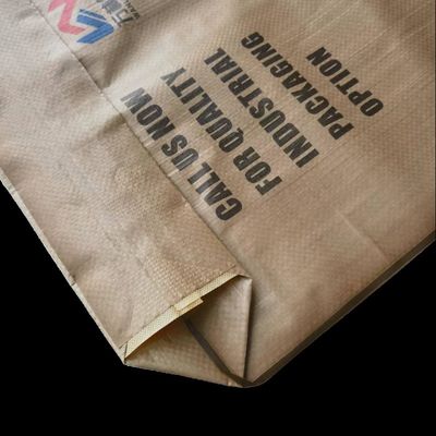 20kg-50kg सीमेंट और जिप्सम पाउडर के लिए हीट सील के साथ नमी प्रतिरोधी पीपी वाल्व बैग