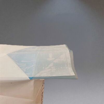 कार्बन ब्लैक के लिए 25 किलोग्राम भारी शुल्क पीई वाल्व बैग